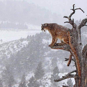 Meet your Posher, Aidan